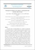 Küçük Resim